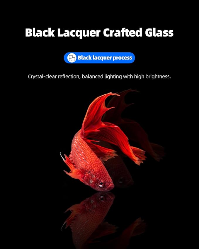 3 Gallon Clear Glass Fish Tank, Small Fish Tank Aquarium for Betta, Goldfish, Snail,Shrimp and Aquatic Planting