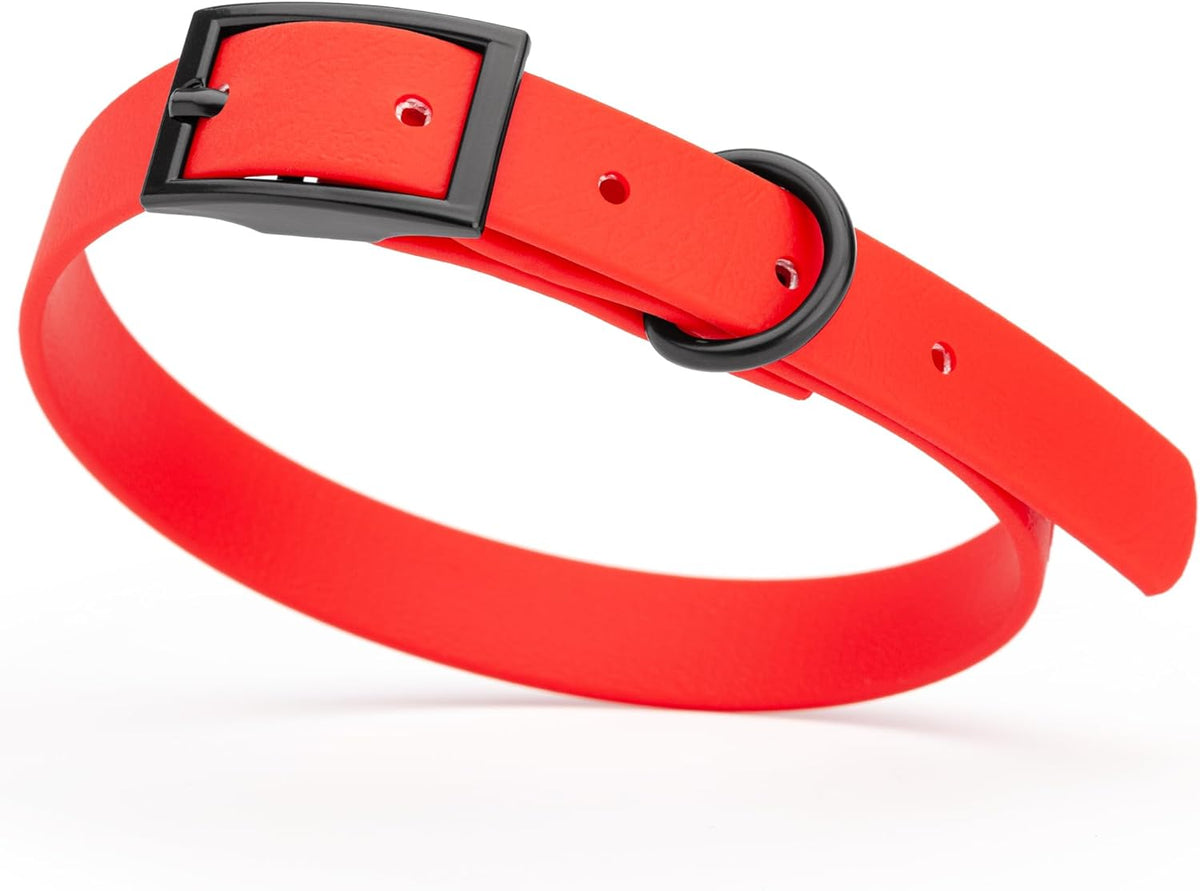 Dogline Biothane Waterproof Dog Collar Strong Coated Nylon Webbing with Black Hardware Odor- Proof for Easy Care Easy to Clean High Performance Fits Small Medium or Large Dogs, Cherry Red