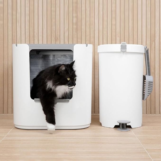 Modkat® XL Litter Box, Top or Front-Entry Configurable, Full Height Seamless Base, Reusable Litter Liners, Sifting Litter Scoop, 2X Bamboo Charcoal Filters - Gray