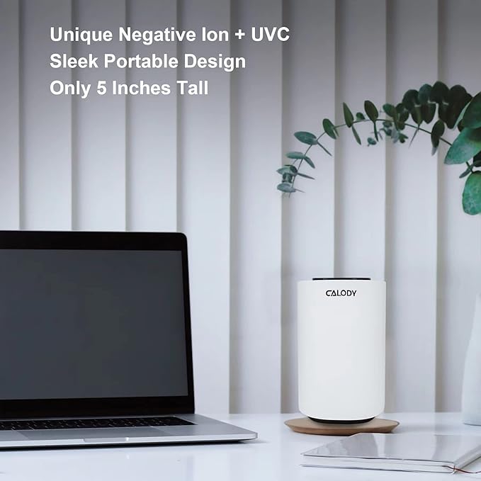 Calody Air Purifiers for Bedroom Home, Car air purifier Ionizer, 15 Million Negative Ions for Smokers, 30dB Quiet Portable Ionic Air Purifiers, Helps Alleviate Allergies, Dust, Home, and Office Use