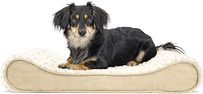 Furhaven Orthopedic Dog Bed for Medium/Small Dogs w/ Removable Washable Cover, For Dogs Up to 23 lbs - Ultra Plush Faux Fur & Suede Luxe Lounger Contour Mattress - Cream, Medium