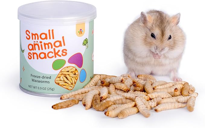 Niteangel Small Animal Snack & Treats - Small Critter Natural Treat for Dwarf Syrian Hamsters Gerbils Mice Sugar Glider Hedgehogs Chickens Birds (Freeze-Dried Worms- 0.9oz (25g))