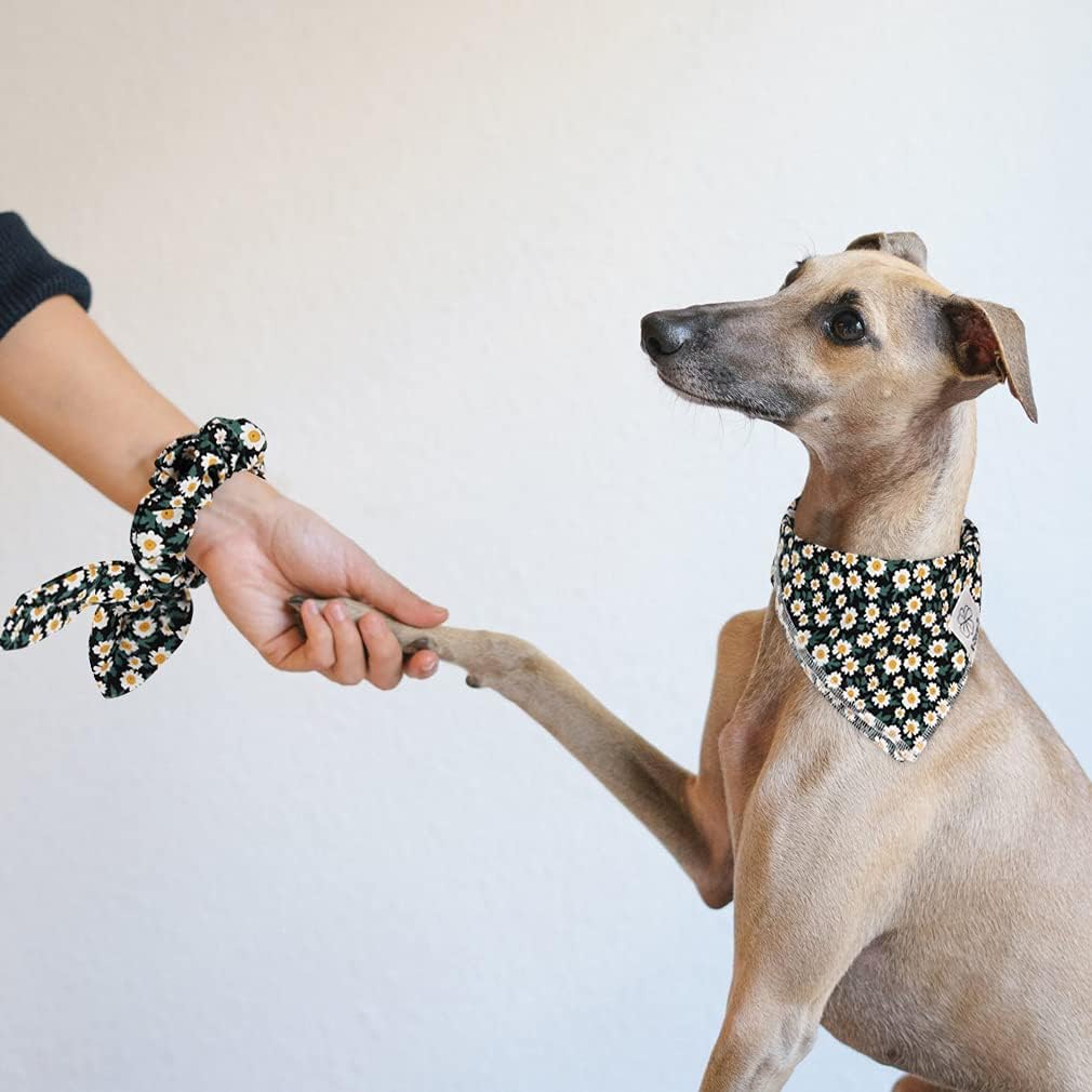 E-Clover Dog Bandanas & Matching Scrunchie Set Girl Dog Scarf Bibs with Bow Scrunchie for Medium Large Dogs Pet Owner Gifts Flower Black