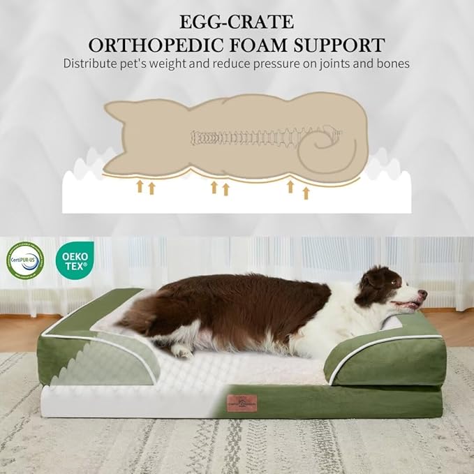 Comfort Expression Orthopedic Dog Bed for Extra Large Dogs 45x35 Inch, Waterproof Egg Crate Foam XL Pet Bed with Removable Bolsters, Dog Couch with Washable Cover & Non-Slip Bottom, Light Green