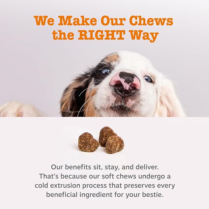Zesty Paws Probiotics for Dogs, Digestive Enzymes Gut Flora, Digestive Health, Diarrhea & Bowel Support, DE111, Dog Probiotics Soft Chew for Pet Immune System, Chicken, 90 Ct
