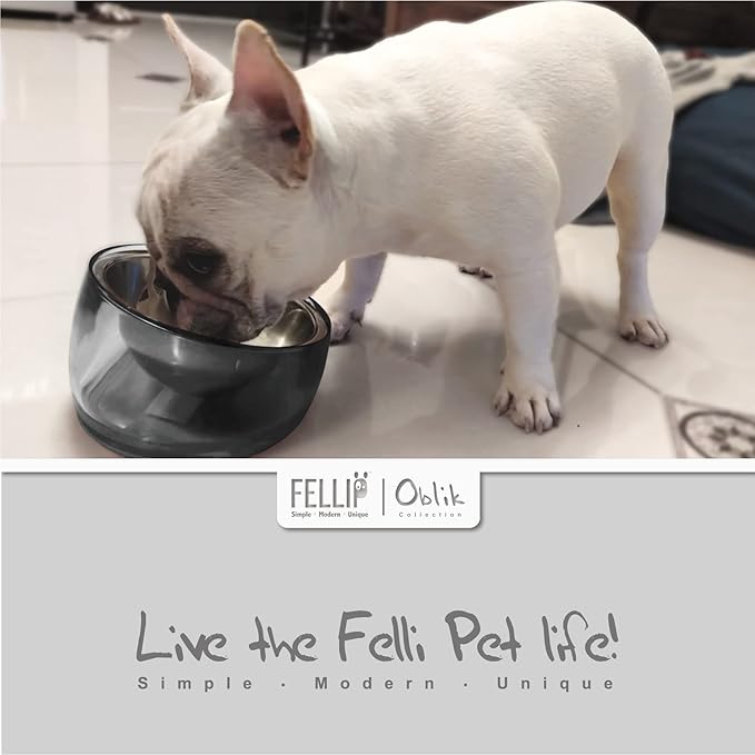 Felli Pet Oblik Spill Proof Dog Food Water Bowl Raised Acrylic Cone, Stainless Steel Tilted Oval Dish Pet Friendly, Slanted Metal Plate Feeder Elevated for Small Medium Size Dog (1.5Cup, Smoky)