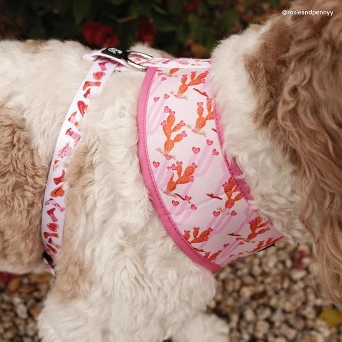 Lucy & Co. Little Lamb Dog Collar - Durable Lightweight Designer Collar for Pets - Adjustable Metal Safety Buckle - Yellow Floral - Medium