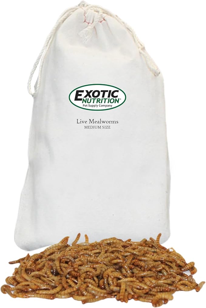Exotic Nutrition Medium Live Mealworms (1/2") (2,000 Pack)