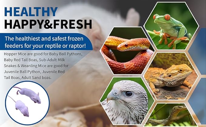 MiceDirect 100 Frozen Mice Combo Pack of 50 Hoppers and 50 Weanling Feeders Snake Food for Juvenile Ball Python Adult Milk Corn Snakes (1.5-2.5 in)(Pack of 100)(1000 Grams Min)