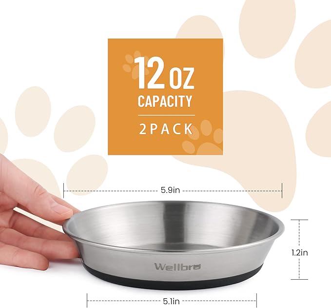 Cat Bowls, 2 Pcs Stainless Steel Cat Bowls for Food and Water, Whisker Fatigue Shallow Non-Slip Dishes Plates for Small Dog Puppies Cats