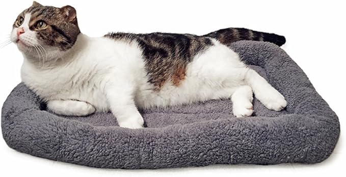 Cat Bed Washable Indoor Cat Cushion Bed, Soft and Cozy Plush Pet Bed-M