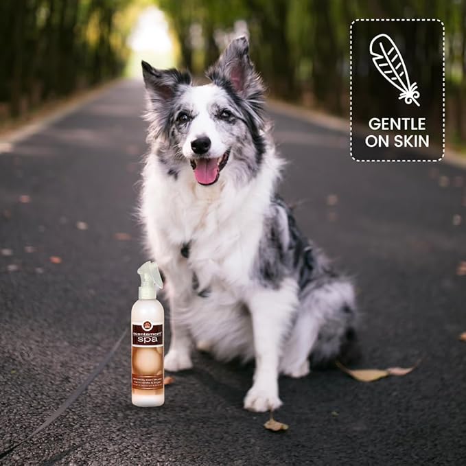 Best Shot Scentament Spa Botanical Body Splash, Detangler Spray, Hypoallergenic Body Spray for Cat, Dog, Warm Vanilla Sugar, 8 Oz.