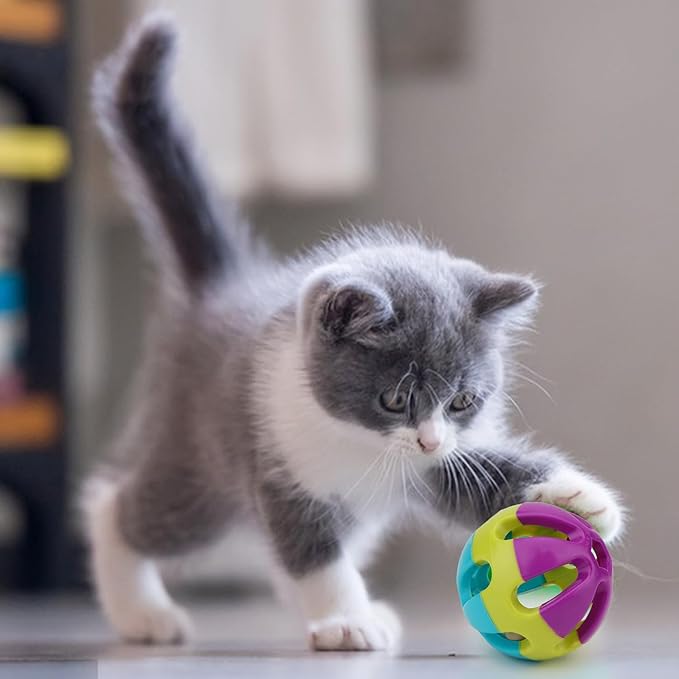 Hypeety Pet Parrot Toy Plastic Colorful Birds Ball with 1 Bell for Budgie African Grey Cockatoo Cockatiel Sun Conures 1 Ball