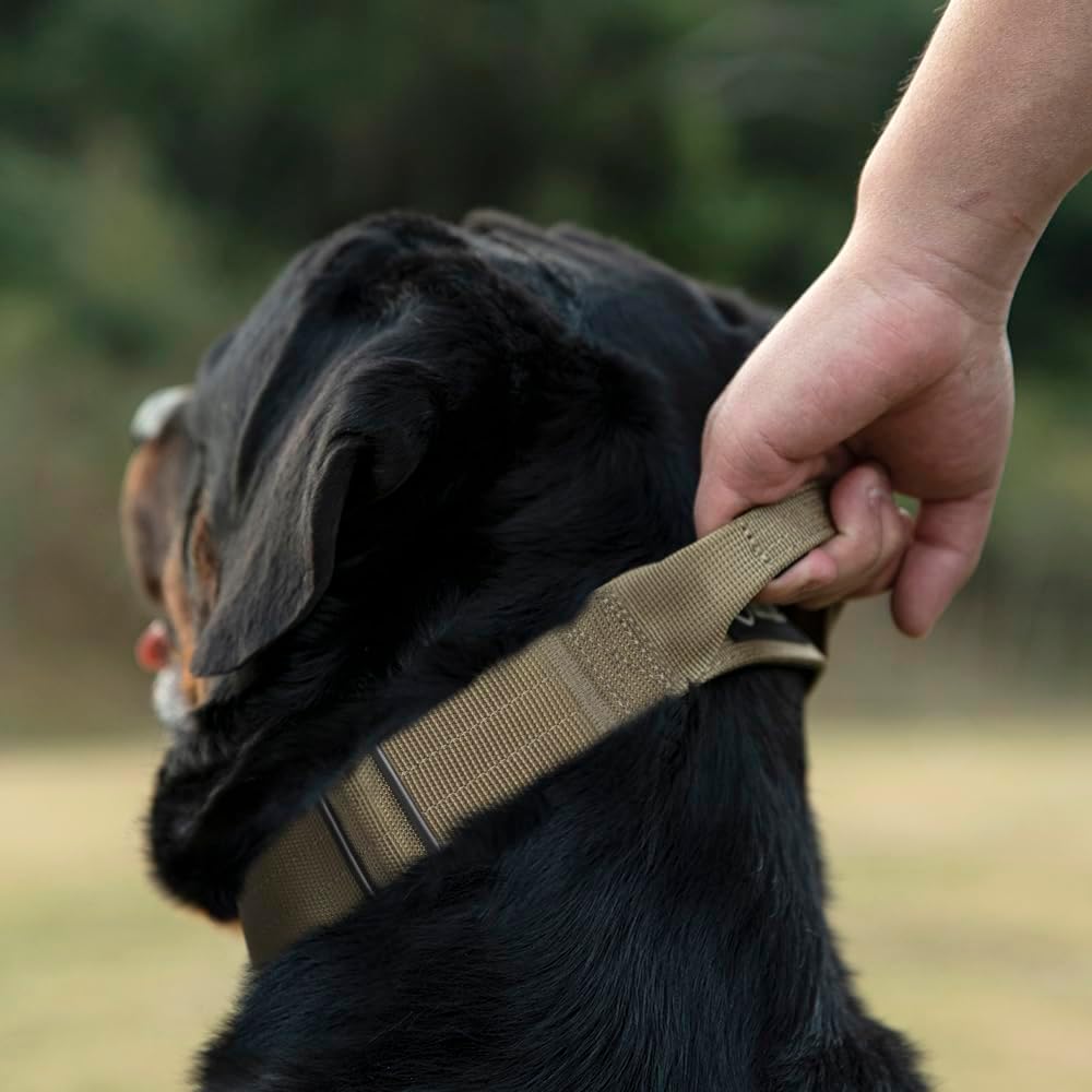 TSPRO Premium Dog Collars Tactical Dog Collar with Handle and Heavy Duty Quick-Release Metal Buckle Durable Thick and Adjustable for Medium to Large Dogs (Orange M)