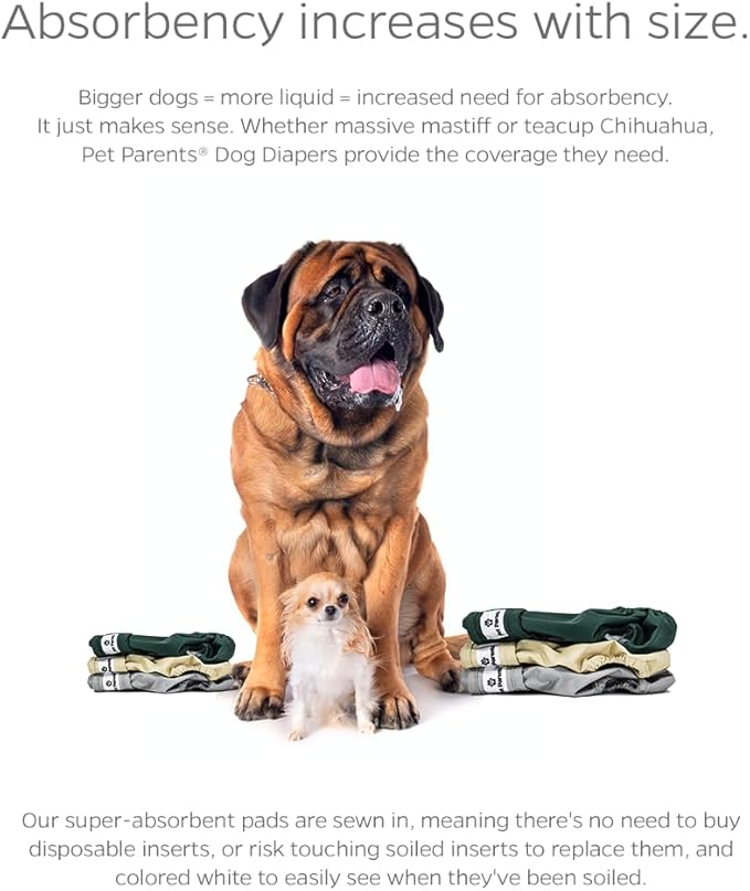 Pet Parents® Washable Dog Diapers (3pack) + Extendrs® of Durable Doggie Diapers, Premium Dog Diapers Female (Small, Spruce)