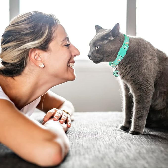 2Pcs Breakaway Cats Collars Cat Collars for Boy & Girl Cats Adjustable Kitten Collars with Bell,Pink+Teal
