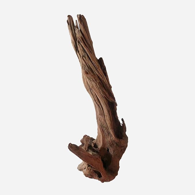 LYPHARD AQUARIUMS Natural Driftwood for Aquarium Decor, L12.99×W6.69×H20.47 Inches Large Drift Wood Decorations for Reptile Hide, Fish Tank, Optional Shapes