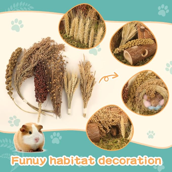 Hamster Spray Set - Natural Snack Grains & Chew Toys for Cage Decoration Accessories, Soft Bedding for Dwarf Syrian Hamsters, Gerbils, Mice & Small Pets