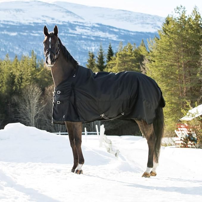 HORZE Nevada Heavy Weight 1200D Waterproof Horse Winter Turnout Blanket (400g Fill) - Black - 75 in