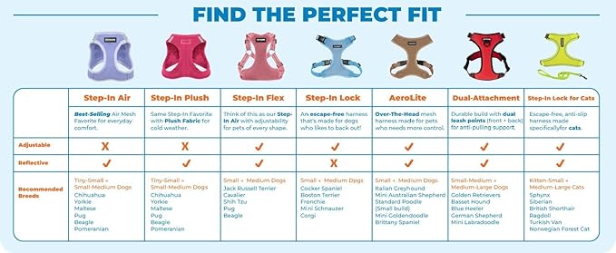 Best Pet Supplies Voyager Step-in Air Harness - All Weather Mesh, Reflective, No Pull Harness for Dogs, Cats - Secure with Hook & Loop Fastener, Buckle, Double D-Rings - Turquoise, XXS