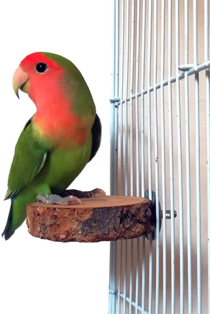 Hamiledyi 8 PCS Bird Perch Stand Toy Wood Parrot Paw Grinding Stick Perch Stand Platform Parakeet Cage Accessories Exercise Toys for Budgies Cockatiel Conure