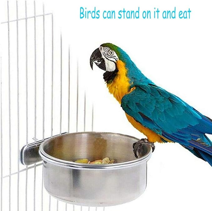 PINVNBY 2PCS Parrot Feeding Cups Birds Food Dish Stainless Steel Parrot Feeders Water Cage Bowls with Clamp Holder for Cockatiel Conure Parakeet Parrot Macaw Small Animal (Size: M)