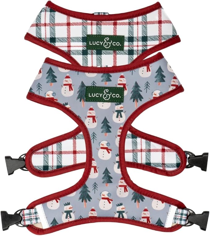 Lucy & Co. Cute Reversible Dog Harness Walking Halter - Best Designer Pet Harnesses for XS - XL Dogs - Padded Adjustable Vest for Easy Walking-Medium-Gray & White Snowman