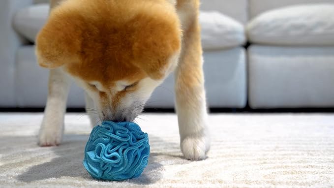 Puppy and Small Breed Snuffle Interactive Foraging Dog Puzzle Ball Toy Blue
