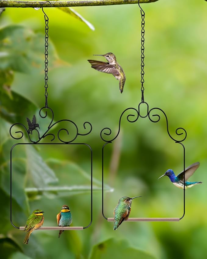 PACETAP Hummingbird Swings and Perches Metal Frame 2 Pack, Wild Bird Swing Outdoor Bird Perch with Wooden Dowel and 2 Hanging Chain for Hanging Indoor, Outdoor, Trunk, Lawn, Patio, Garden (Black)