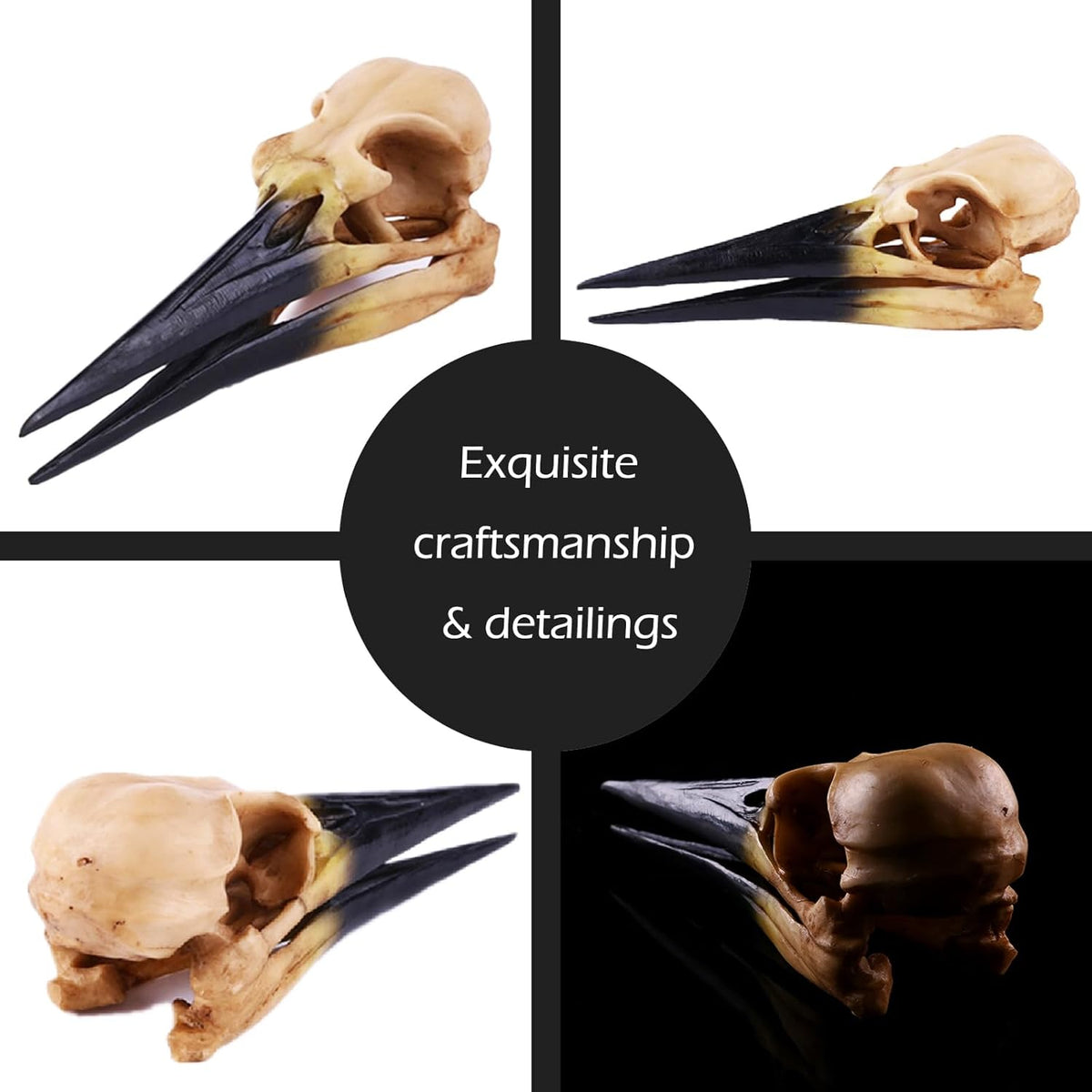 Fish Cave Hideout Ornament Décor for Terrarium Dinosaur Animal Skull Aquarium Large Decorations Betta Tarantula Reptile Snake Decor Bones Halloween