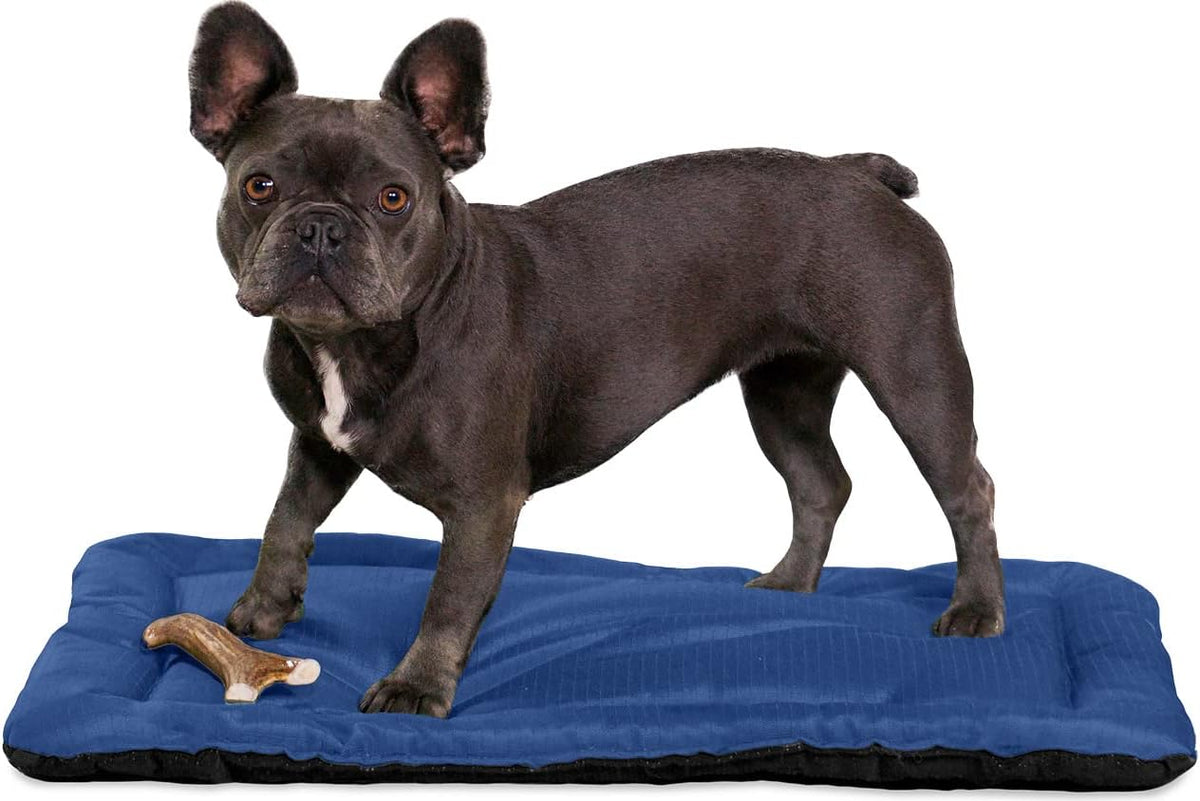 K9 Ballistics Tough Ripstop Dog Crate Pad - Durable & Machine Washable with Non-Skid Bottom and 120-Day Warranty, Fits 24" Wire Crates - X-Small, Blue Quartz