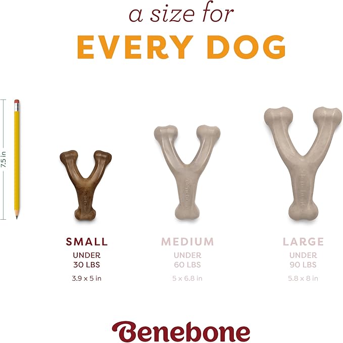 Benebone Pumpkin Spice Wishbone – Limited Edition Flavor, Durable Dog Chew Toy for Aggressive Chewers, Made in USA, Small
