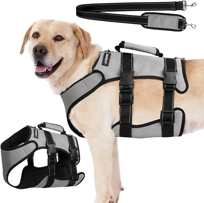 Ayquez Dog Lift Harness with Storage and Transport Bag, Dog Harness with Handle for Lifting & Hip dysplasia, arnés para Perros pequeños, pechera para Perros Gray, S