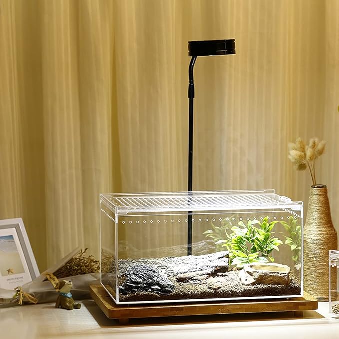 NANEEZOO Magnetic Acrylic Large Enclosure 2.5 Gallon 12 x 8 x 6 Inch Reptile Breeding Box Terrarium Cage for Insect Tarantulas Amphibians Caterpillars Snail Clear Acrylic Reptile Feeding Box