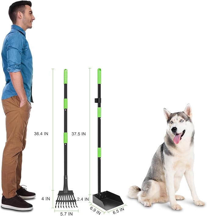 Non-Breakable Pooper Scooper, Dog Pooper Scooper Tray & Rake Set with Adjustable Stainless Steel Long Handle for Large Medium Small Dogs (Green)