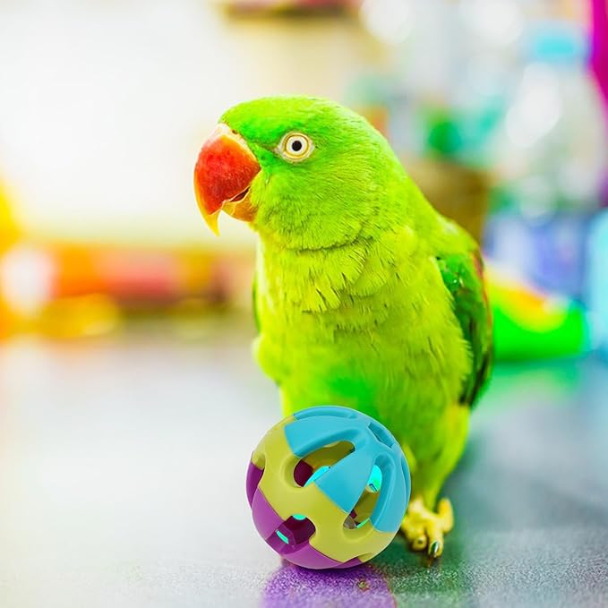 Hypeety Pet Parrot Toy Plastic Colorful Birds Ball with 1 Bell for Budgie African Grey Cockatoo Cockatiel Sun Conures 1 Ball