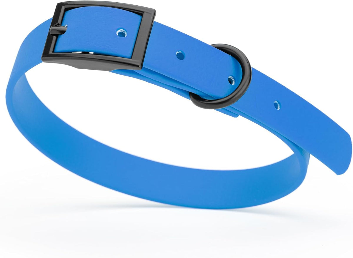 Dogline Biothane Waterproof Dog Collar Strong Coated Nylon Webbing with Black Hardware Odor- Proof for Easy Care Easy to Clean High Performance Fits Small Medium or Large Dogs, Cerulean Blue