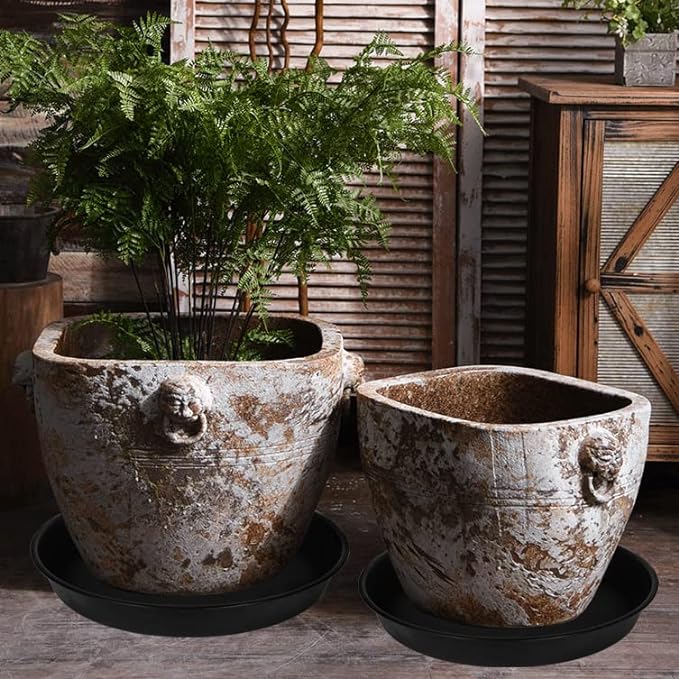 2 Pack of 18 19 inch Plant Saucer (16.6 Inch Base), 2.7" Depth Tray, Large Deep Garden Plastic Flower Trays for Indoors Outdoor, Tray for Planter 15-19" (19", Black)