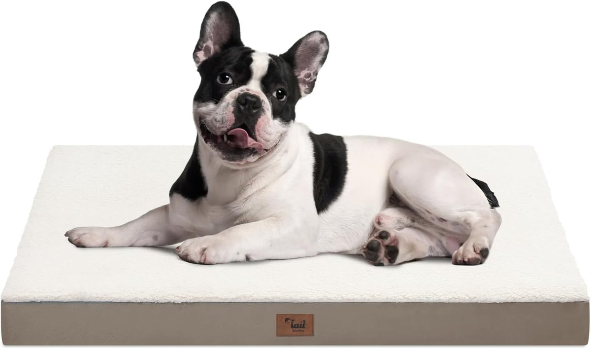Medium Dog Bed for Medium/Small Dogs, Orthopedic Dog Beds with Removable Washable Waterproof Cover, Egg Crate Foam Pet Bed Mat, Khaki White