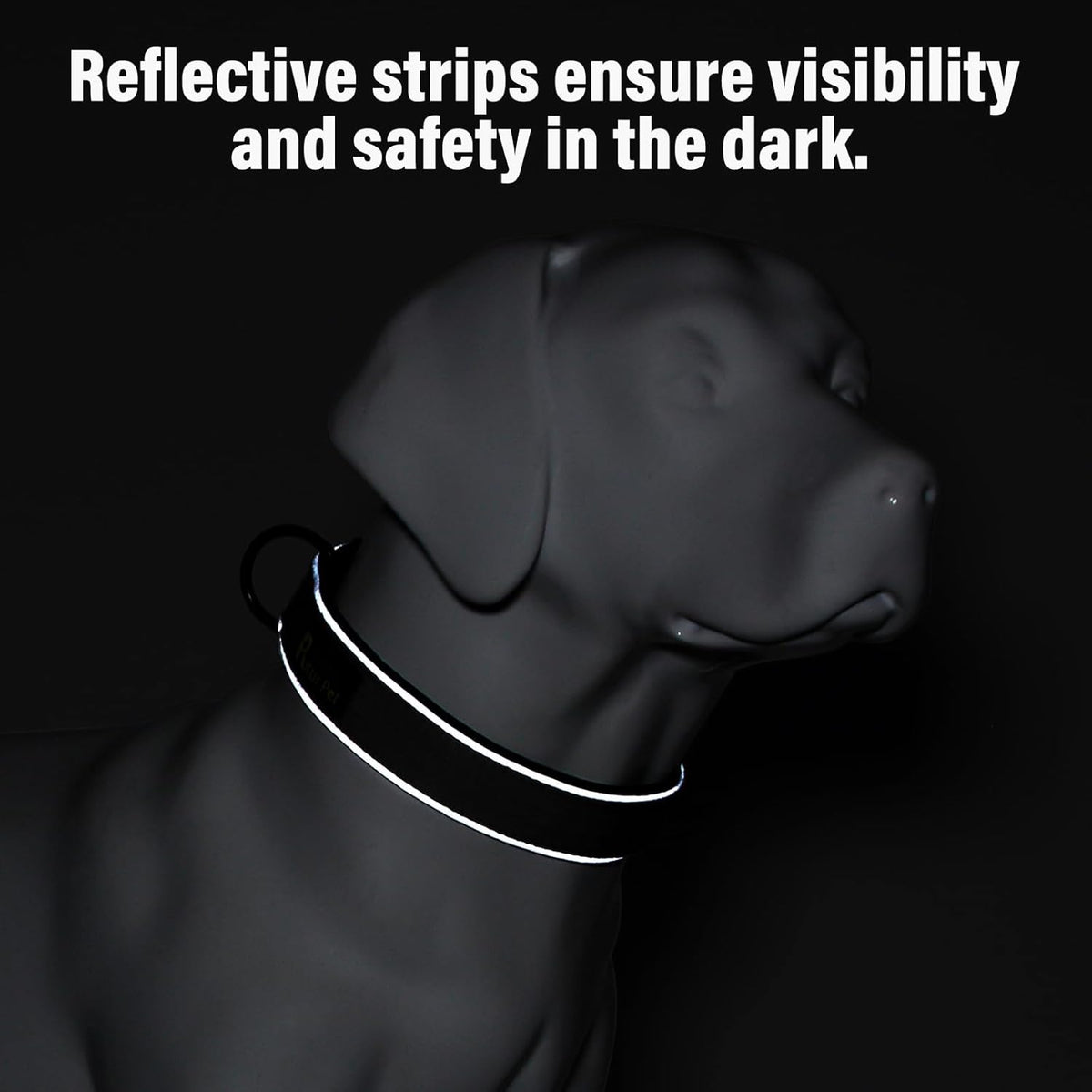 Plutus Pet Tactical Dog Collar, Reflective, Adjustable Heavy Duty Dog Collar, Soft Padded and Comfortable, for Small Medium and Large Dogs (Gray, S)