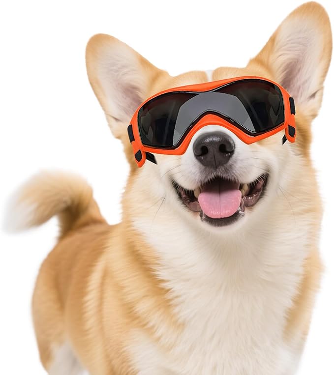 Dog Goggles Dog Sunglasses for Medium Breed UV Protection Windproof with Adjustable Head Straps Chin Straps for Ride Car/Hiking Travel/On Beach-Orange