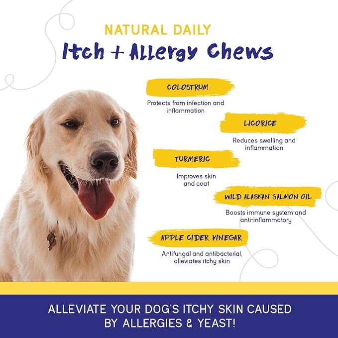 PupGrade Itch & Allergy Chew Supplement for Dogs Improved Immune Support & Seasonal Allergies with Alaskan Salmon Fish Oil - Helps with Anti-Itch - 60 Soft Chews