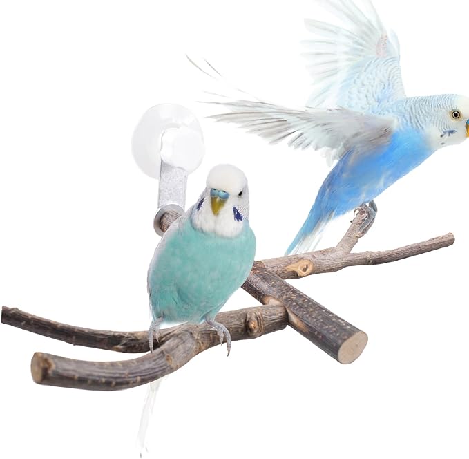 Bird Perch with Suction Cup Window Wall Bath Car Outdoor Travel Perch Stand for Small and Medium Bird Parrot Parakeet Cockatiel Conure African Greys Budgie Lovebirds (Two-Y-Type Wood Window Perch)
