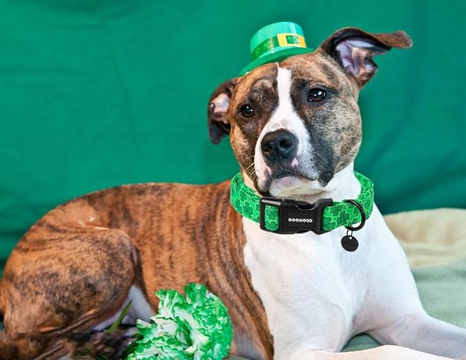 DOGWONG St. Patrick's Day Dog Collar, Green Lucky Clover Shamrock Green Dog Collar Soft Durable Adjustable Costume St. Patrick's Day Lucky Charm Puppy Collar for Small Medium Large Dog