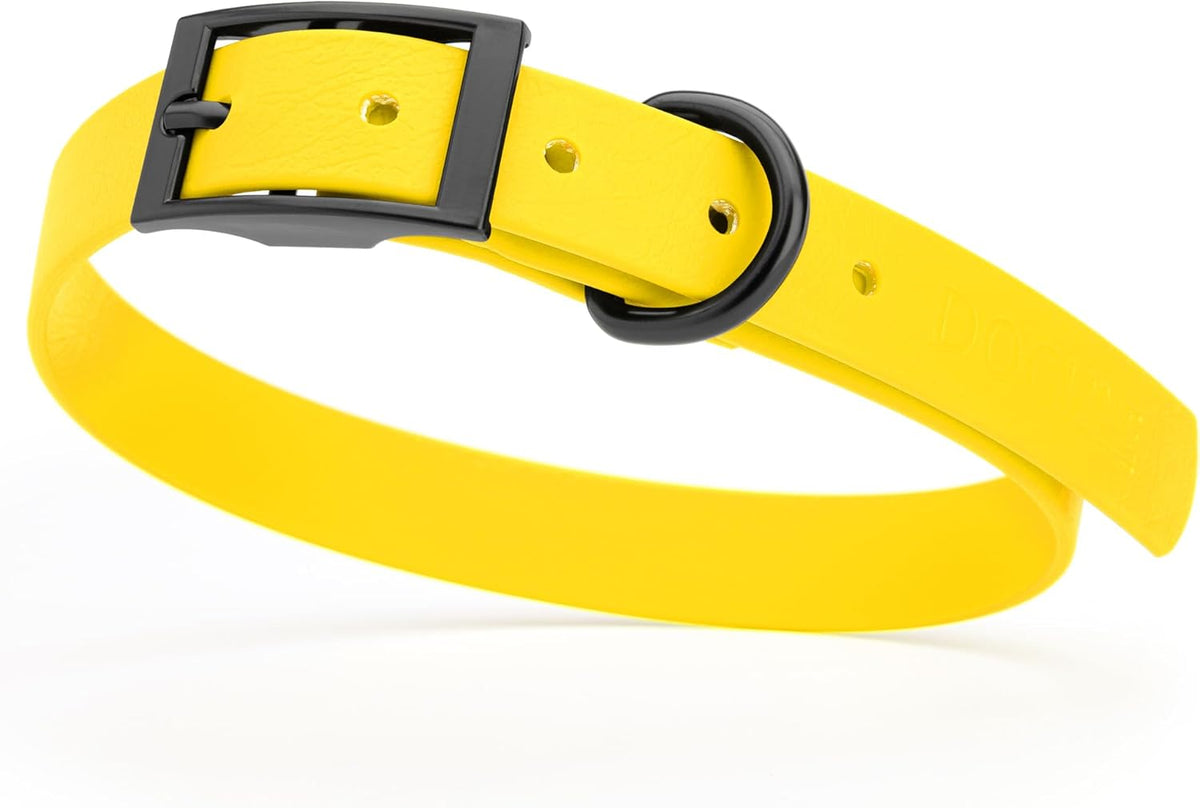 Dogline Biothane Waterproof Dog Collar Strong Coated Nylon Webbing with Black Hardware Odor- Proof for Easy Care Easy to Clean High Performance Fits Small Medium or Large Dogs, Lemon Yellow