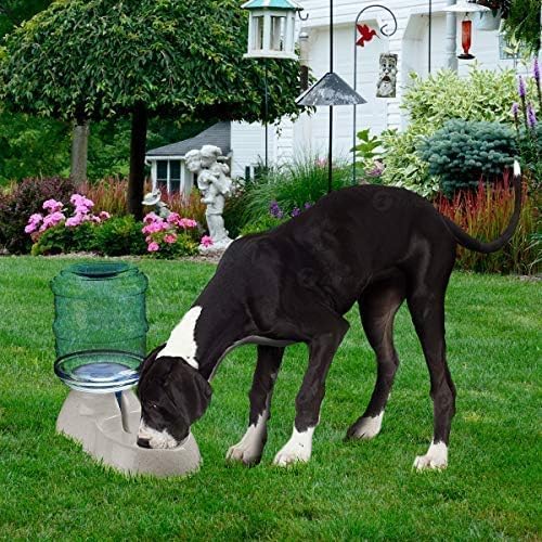ZONETECH Pet Water Dispenser- Premium Quality Durable Self-Dispensing Gravity 3.7 Liters Capacity Suitable for Medium and Large-Sized Cats and Dogs