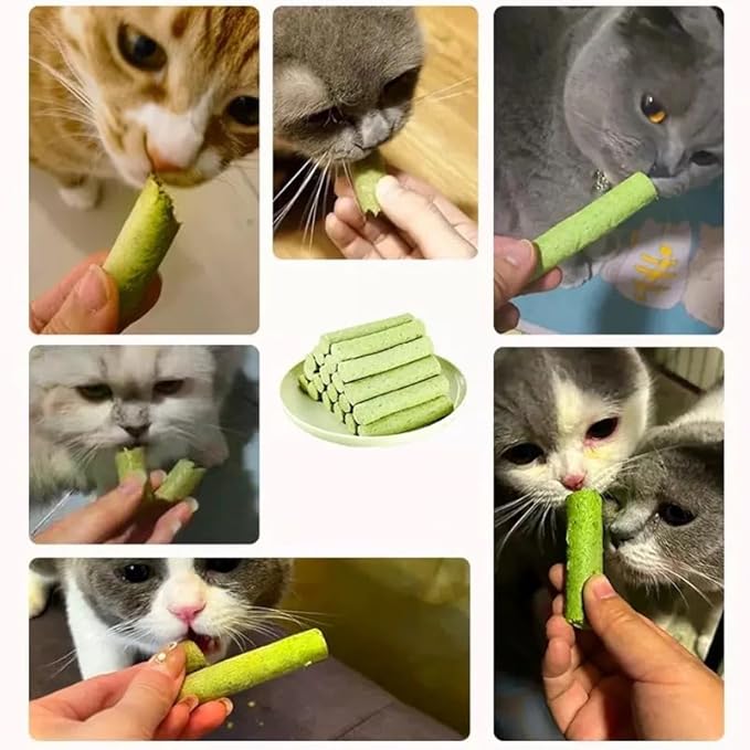 Cat Grass Teething Sticks for Hairball Removal & Teeth Cleaning, Chicken Flavored, Natural Dental Treats for Indoor Cats