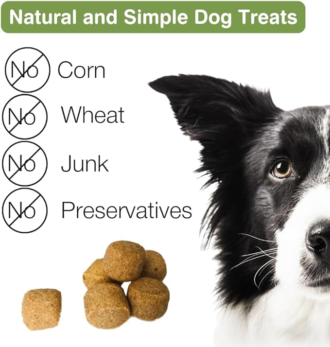 Organic Peanut Butter & Molasses Dog Treats – Healthy, Crunchy, Vegan Biscuits with Whole & Real Ingredients – All Natural & USA‐Baked, 8 Ounce (Pack of 3)