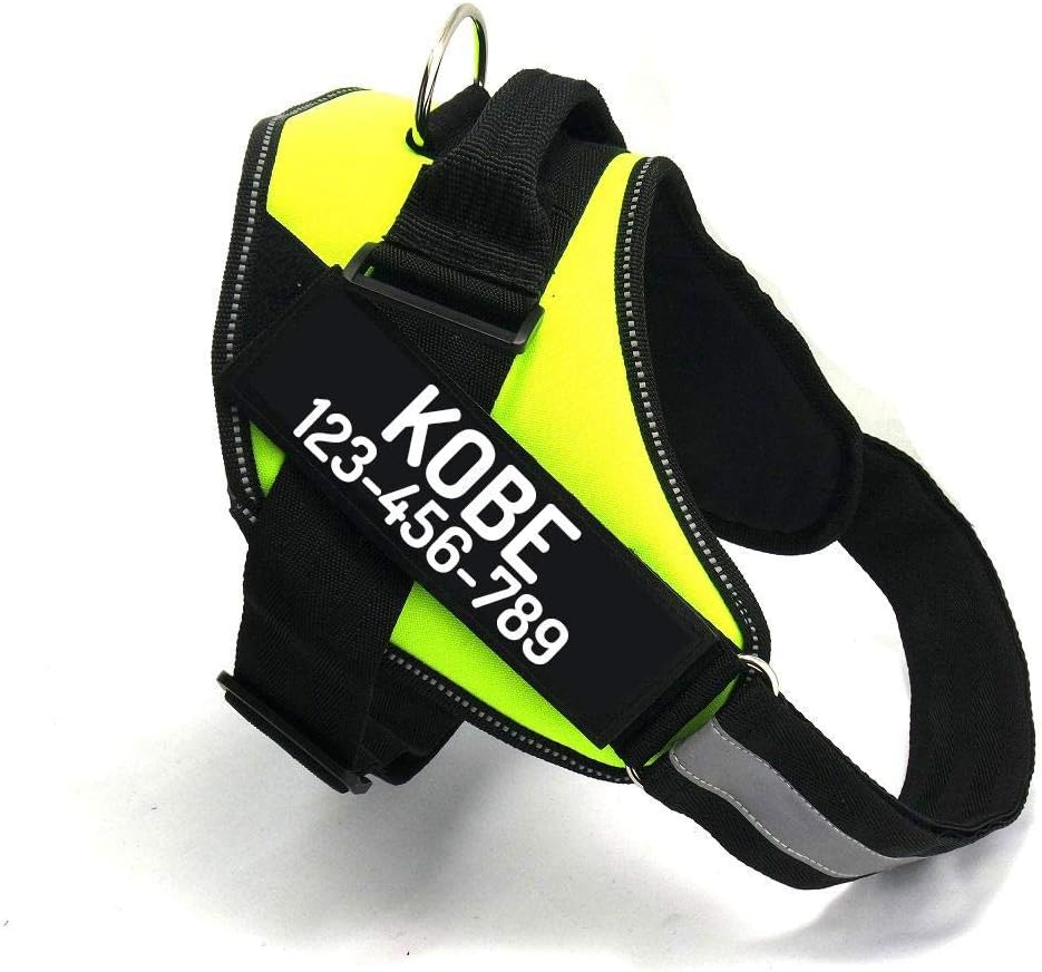 PawPawify Custom No Pull Dog Harness with Name and Phone Number, Heavy Duty Personalized Pet Vest to Prevent Tugging, Pulling, or Choking, Training and Walking (Green, XXL (85-140 LBS))