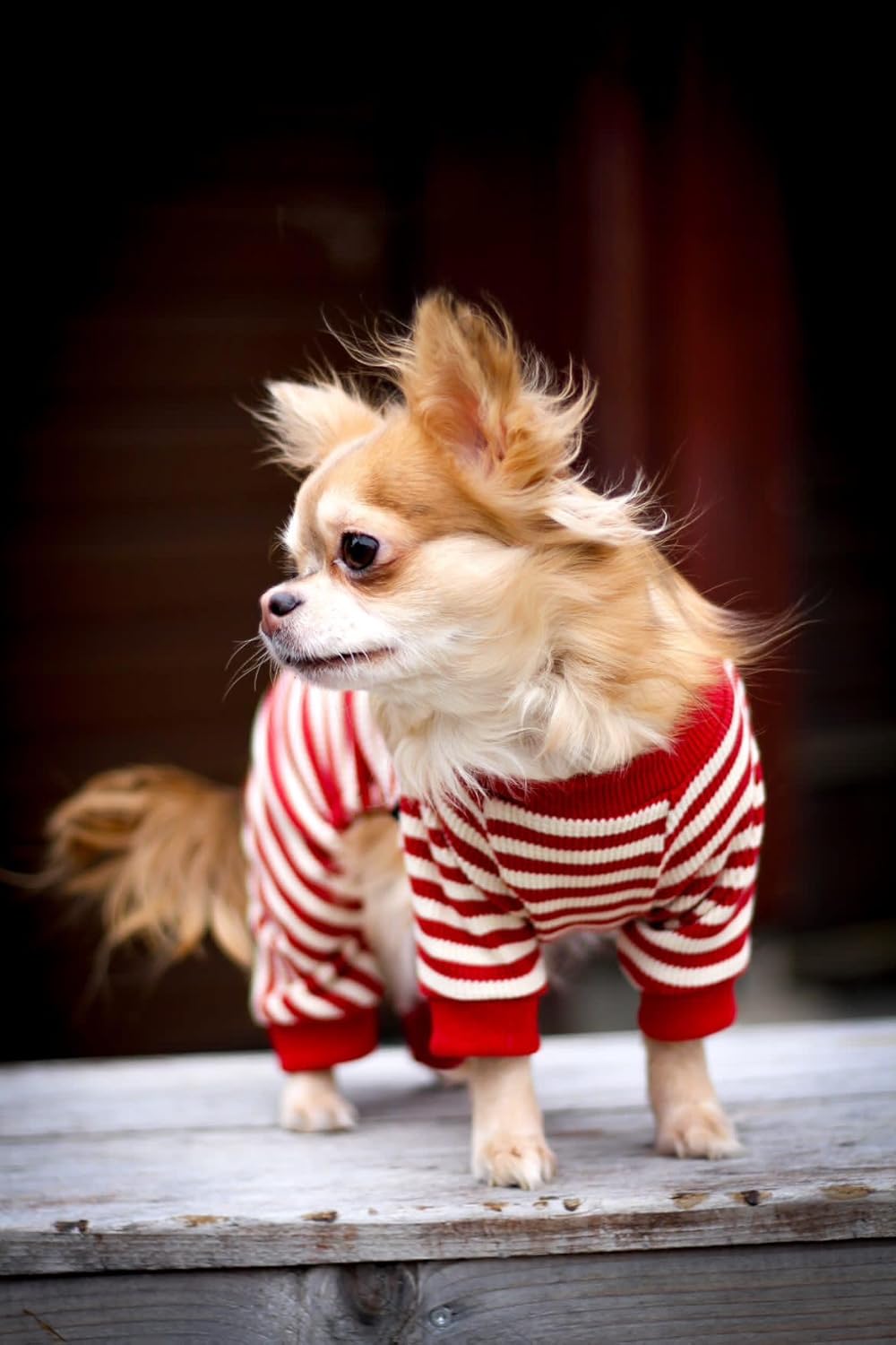 Fitwarm Red and White Striped Dog Pajamas, Waffle Dog Clothes for Small Dogs Girl Boy, Puppy Onesie with Feet, Pet Christmas Outfit, XL
